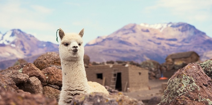 Что посмотреть в Перу?