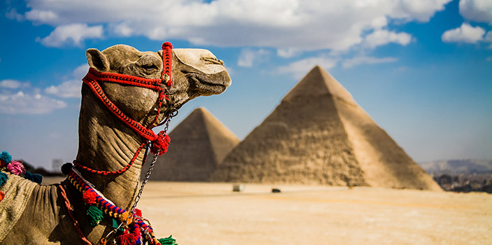 Новые визовые правила в Египте