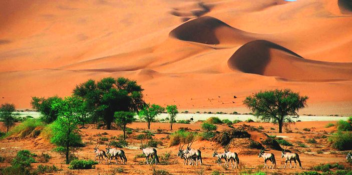 Делегация Намибии прибыла в ОАЭ, чтобы рассказать об основных туристических достопримечательностях
