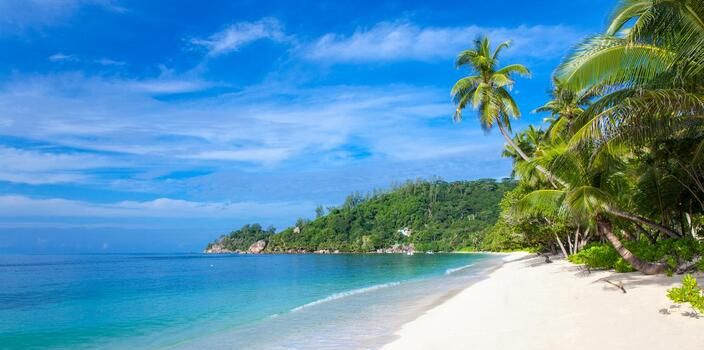 Туризм Сейшельских островов укрепляет связи с GCC через Murex D'or 2022