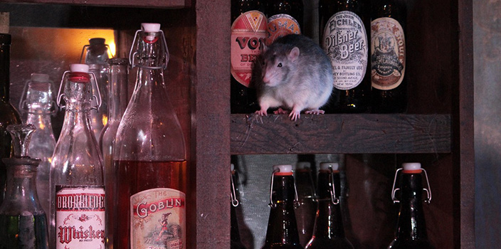 бар с крысами в сан-франциско